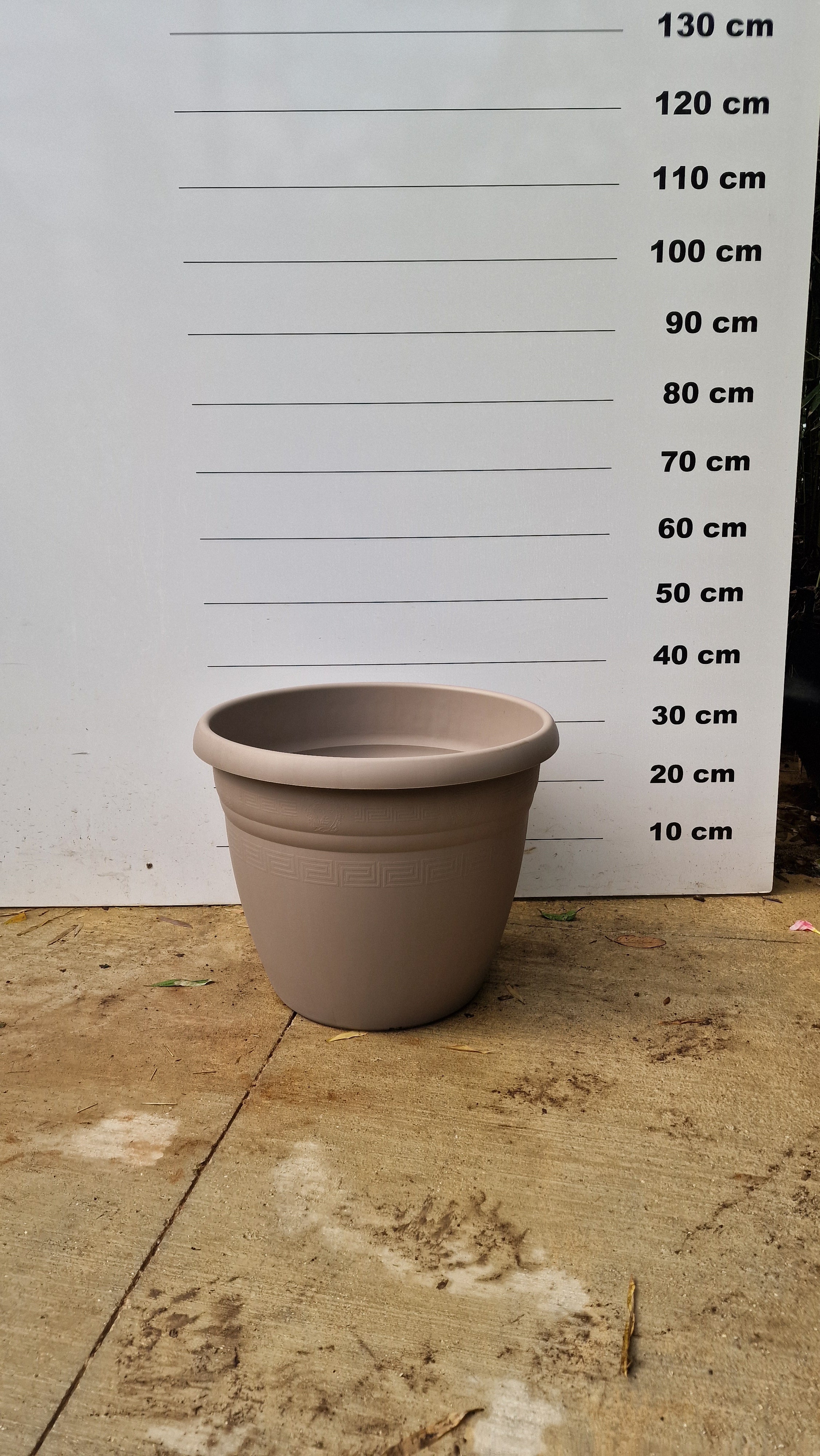 Pot Bologna - Image 10