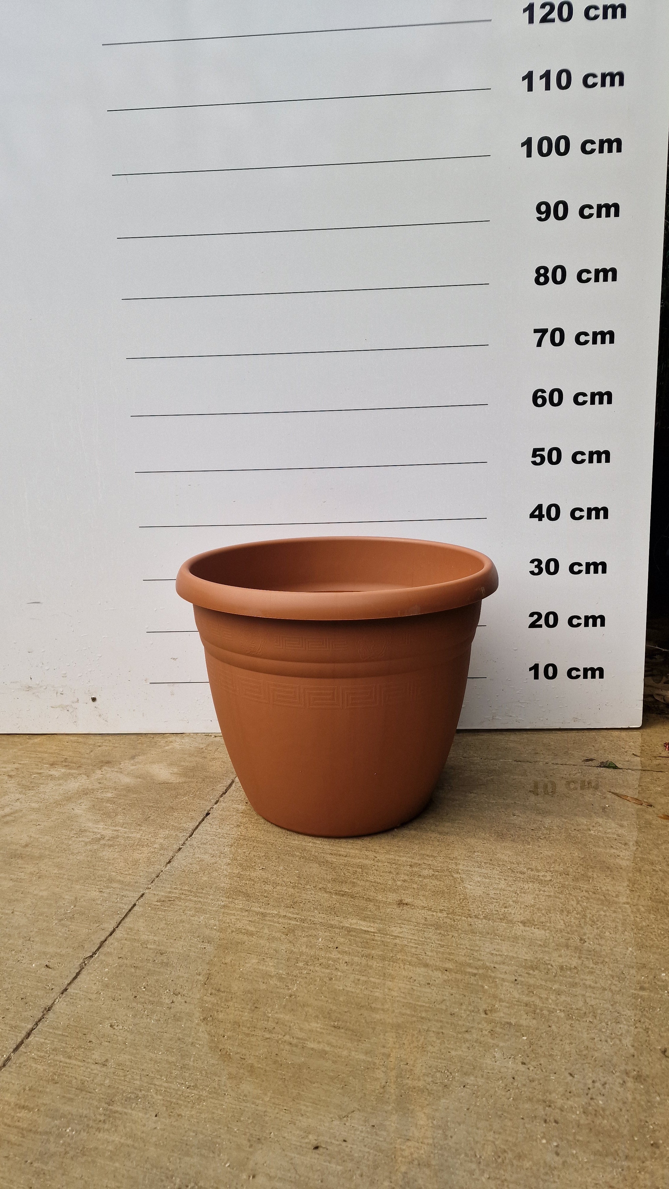 Pot Bologna - Image 11