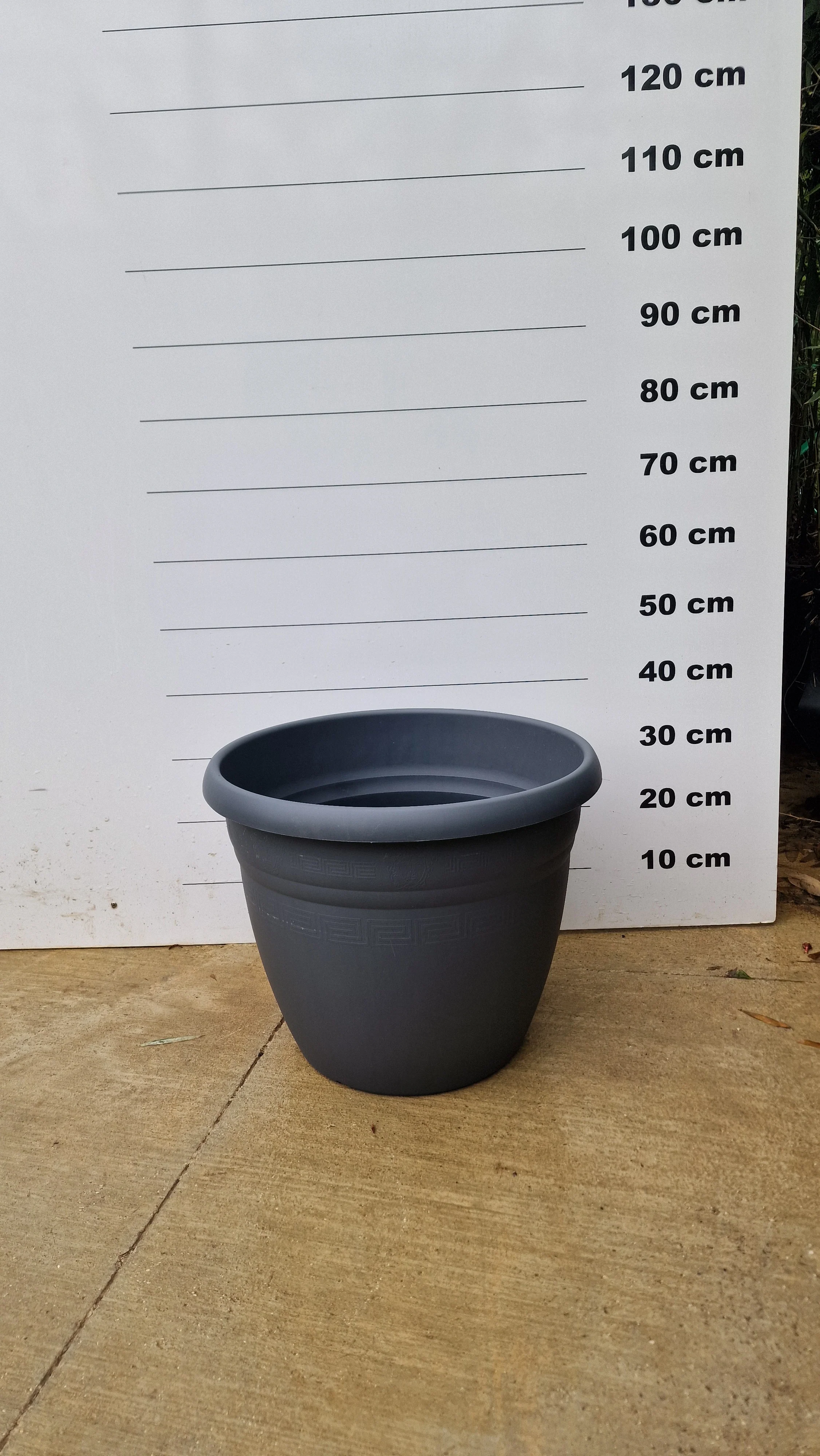 Pot Bologna - Image 12