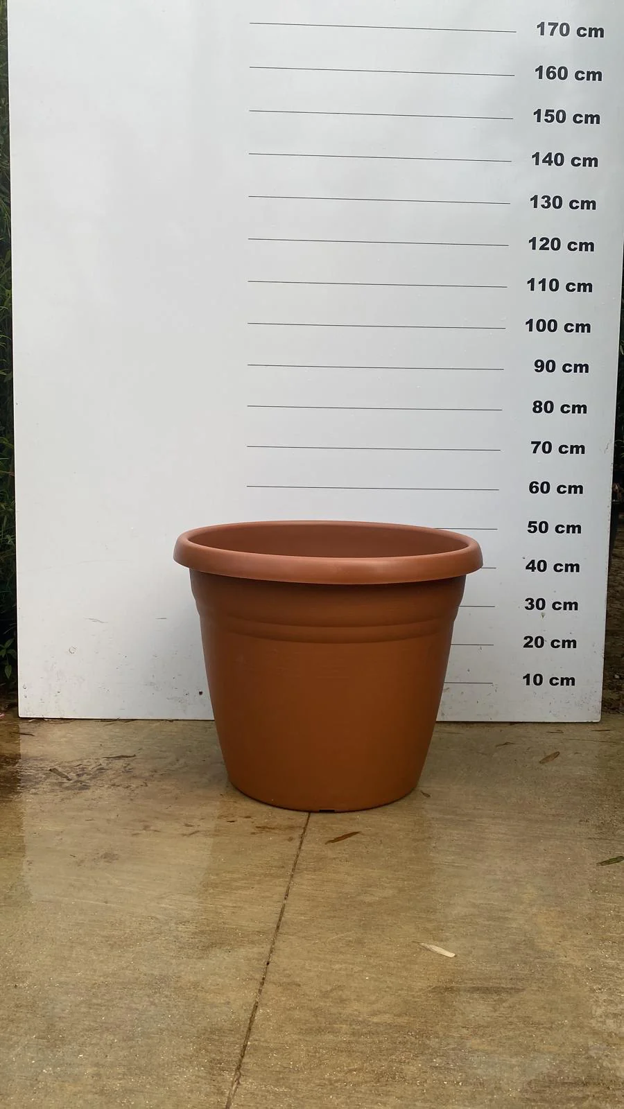 Pot Bologna - Image 13