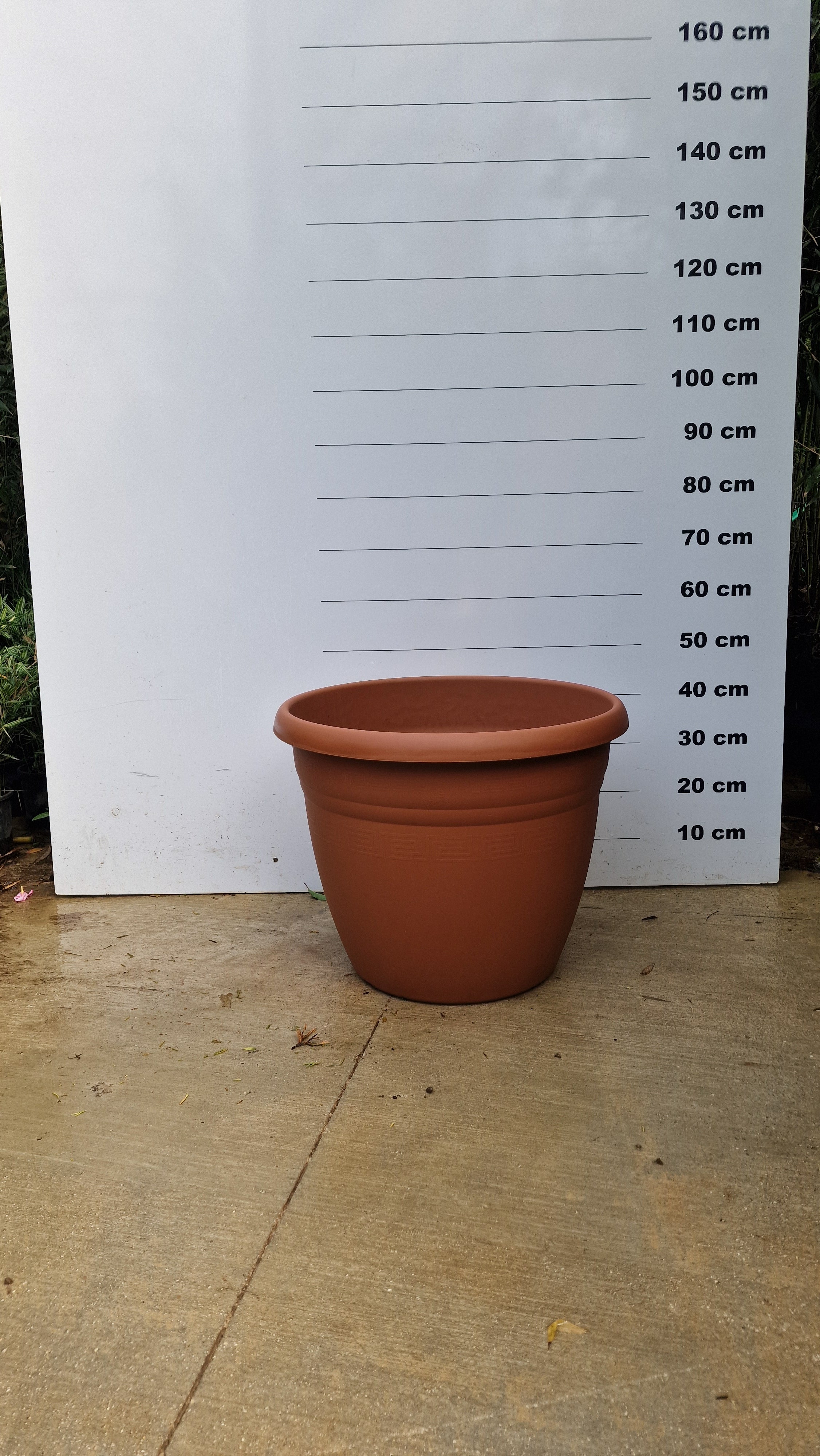 Pot Bologna - Image 5