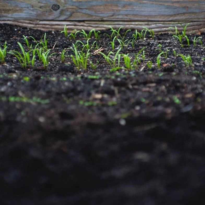 Terreau universel qualité premium - Image 4