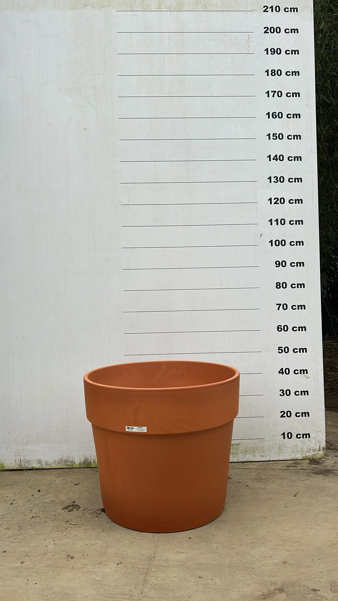 Pot en terre cuite - Amalia - Image 10