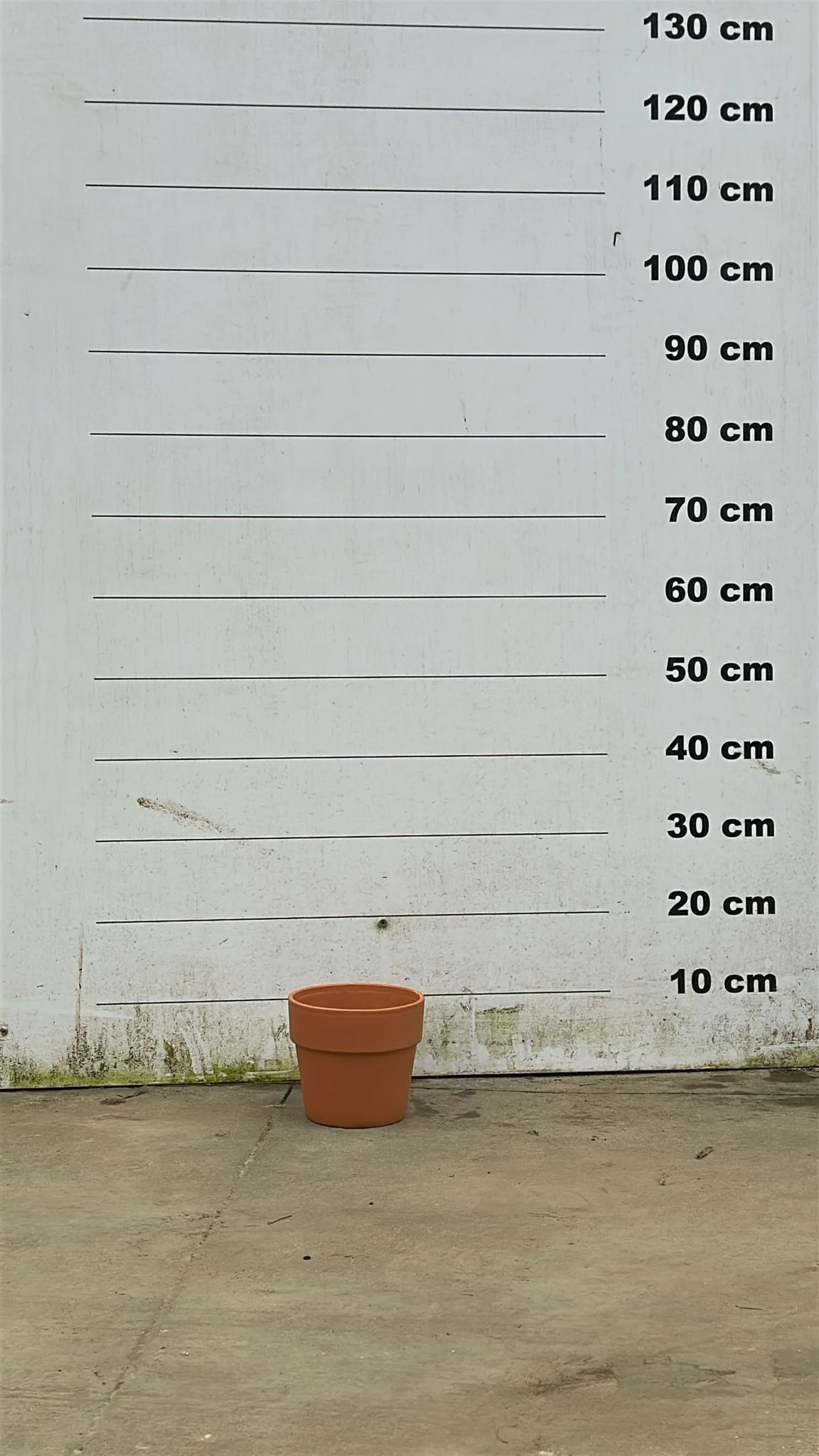 Pot en terre cuite - Amalia - Image 12