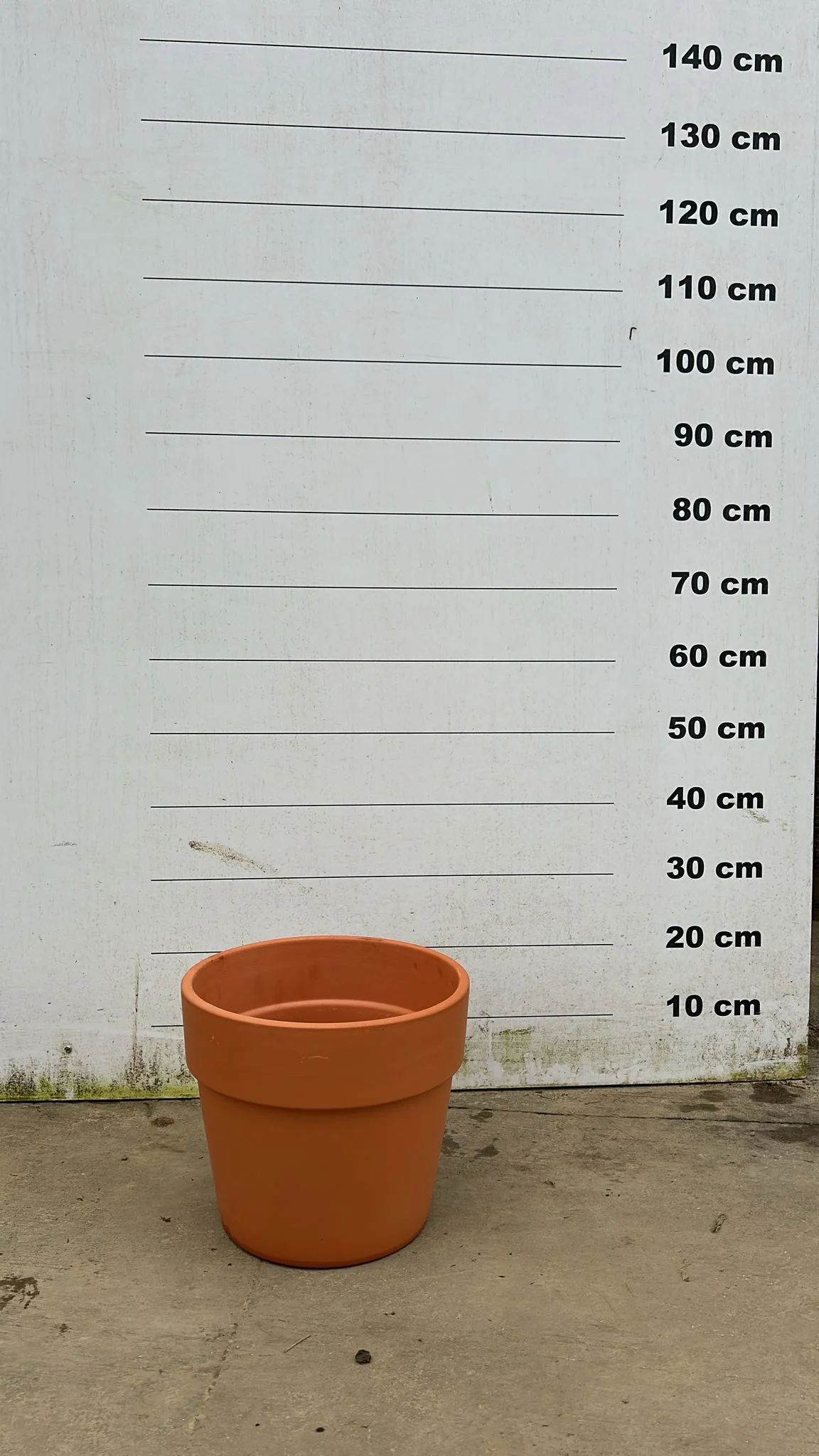 Pot en terre cuite - Amalia - Image 18