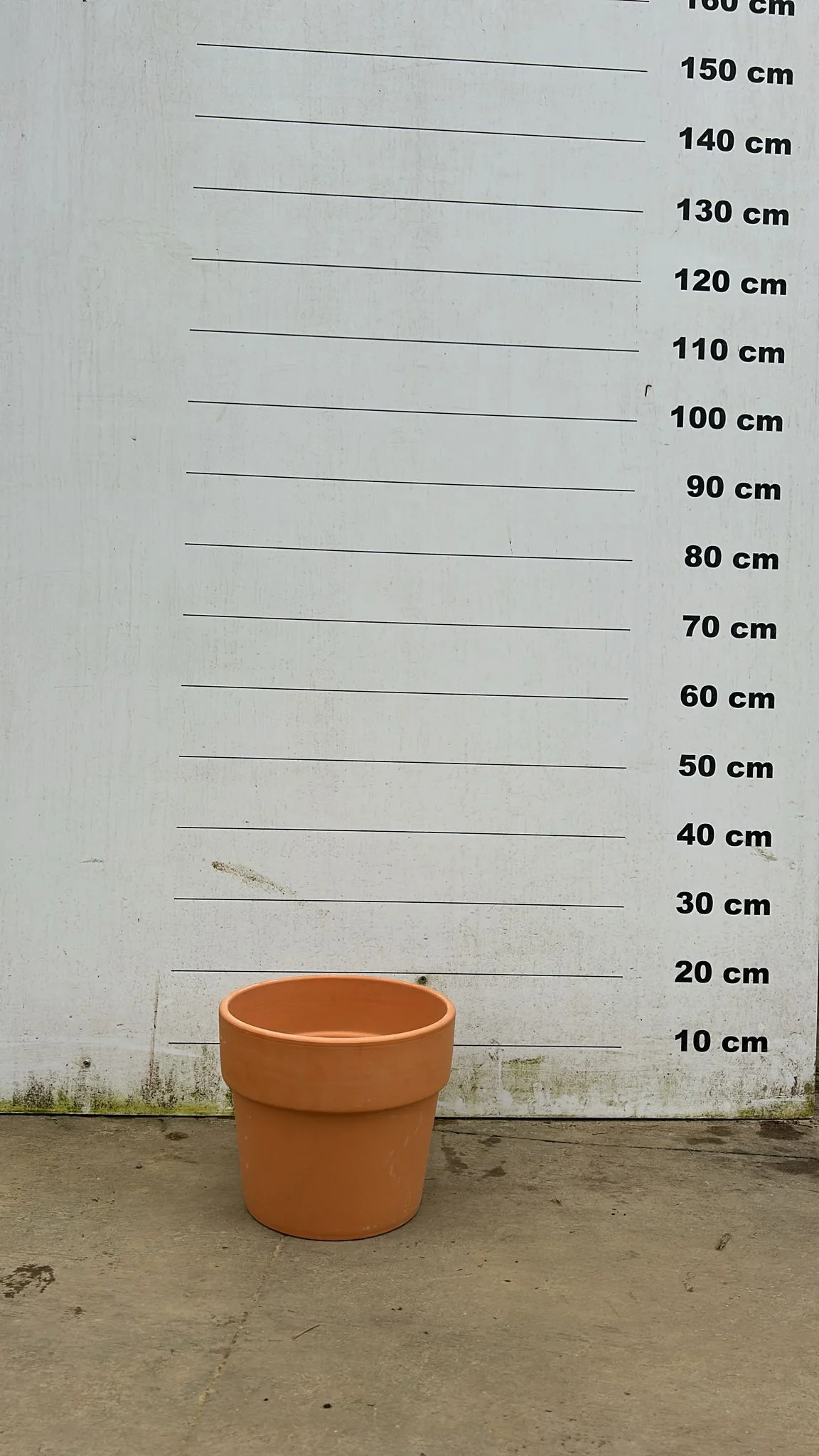 Pot en terre cuite - Amalia - Image 19