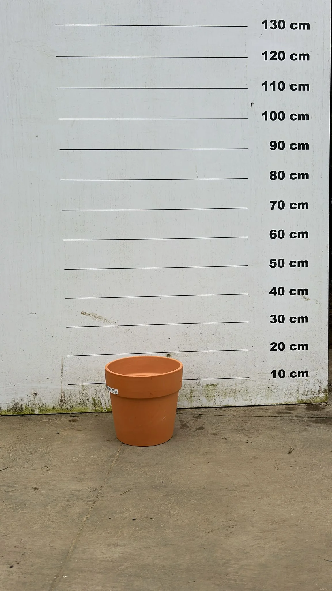 Pot en terre cuite - Amalia - Image 3