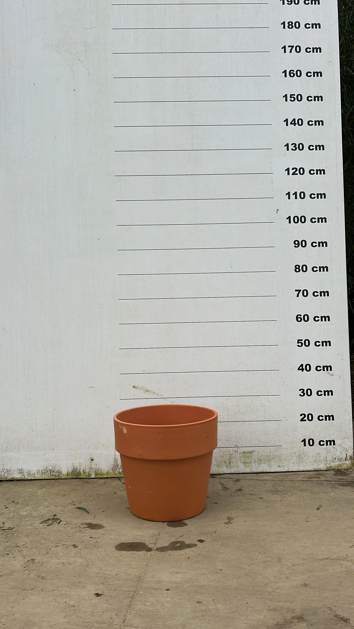 Pot en terre cuite - Amalia - Image 7