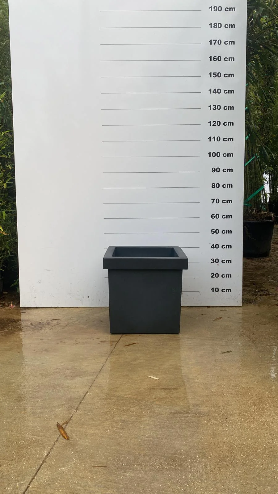 Pot Firenze - Image 10