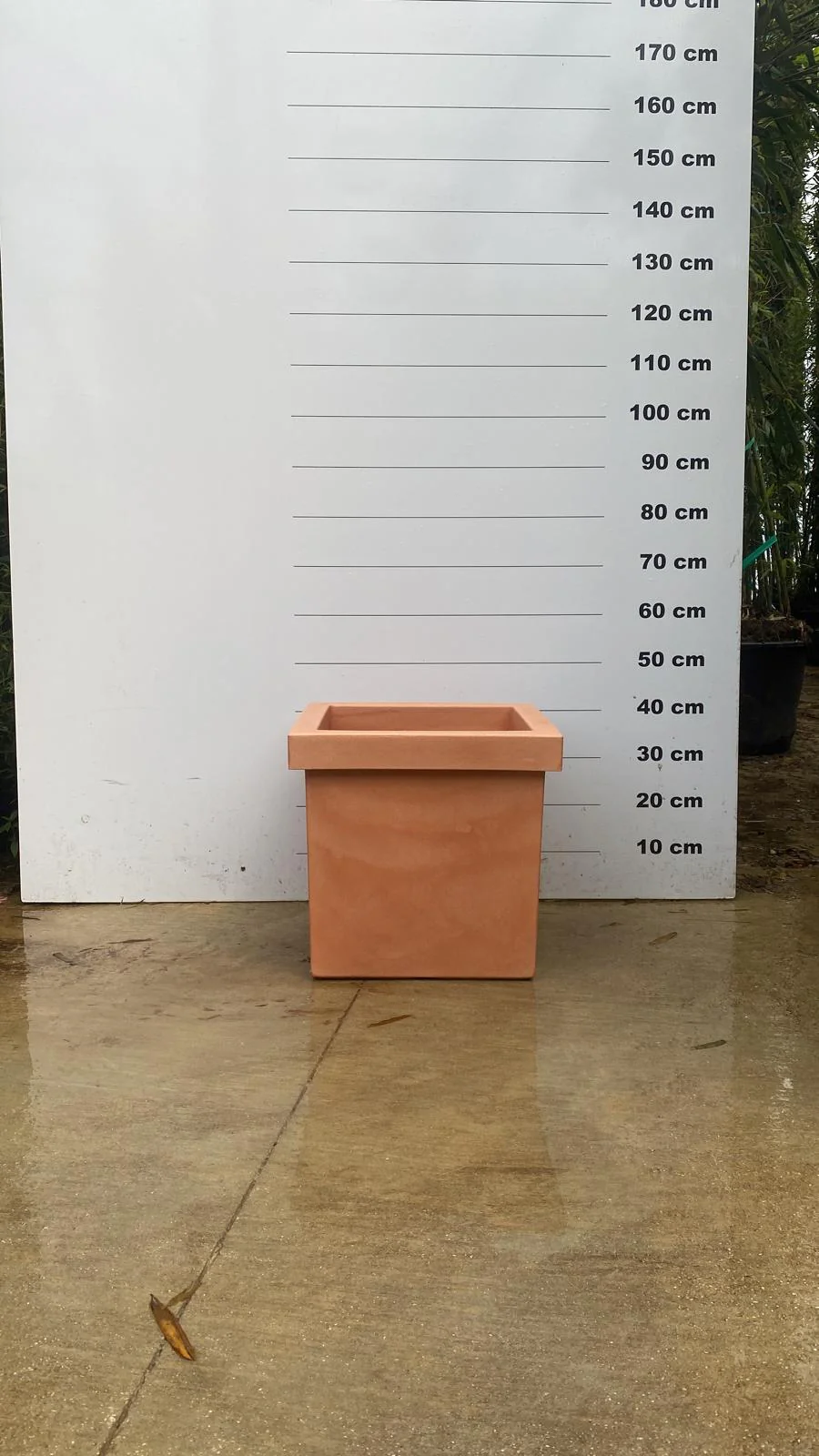 Pot Firenze - Image 9