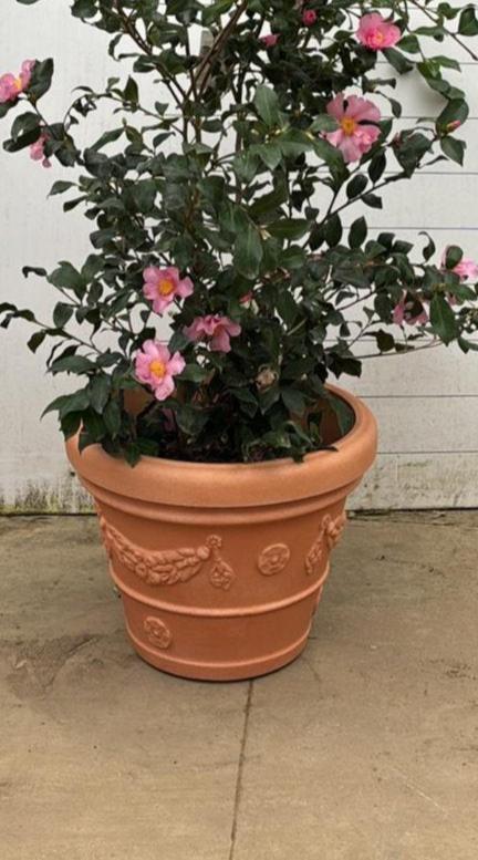 Pot Genova - Image 8