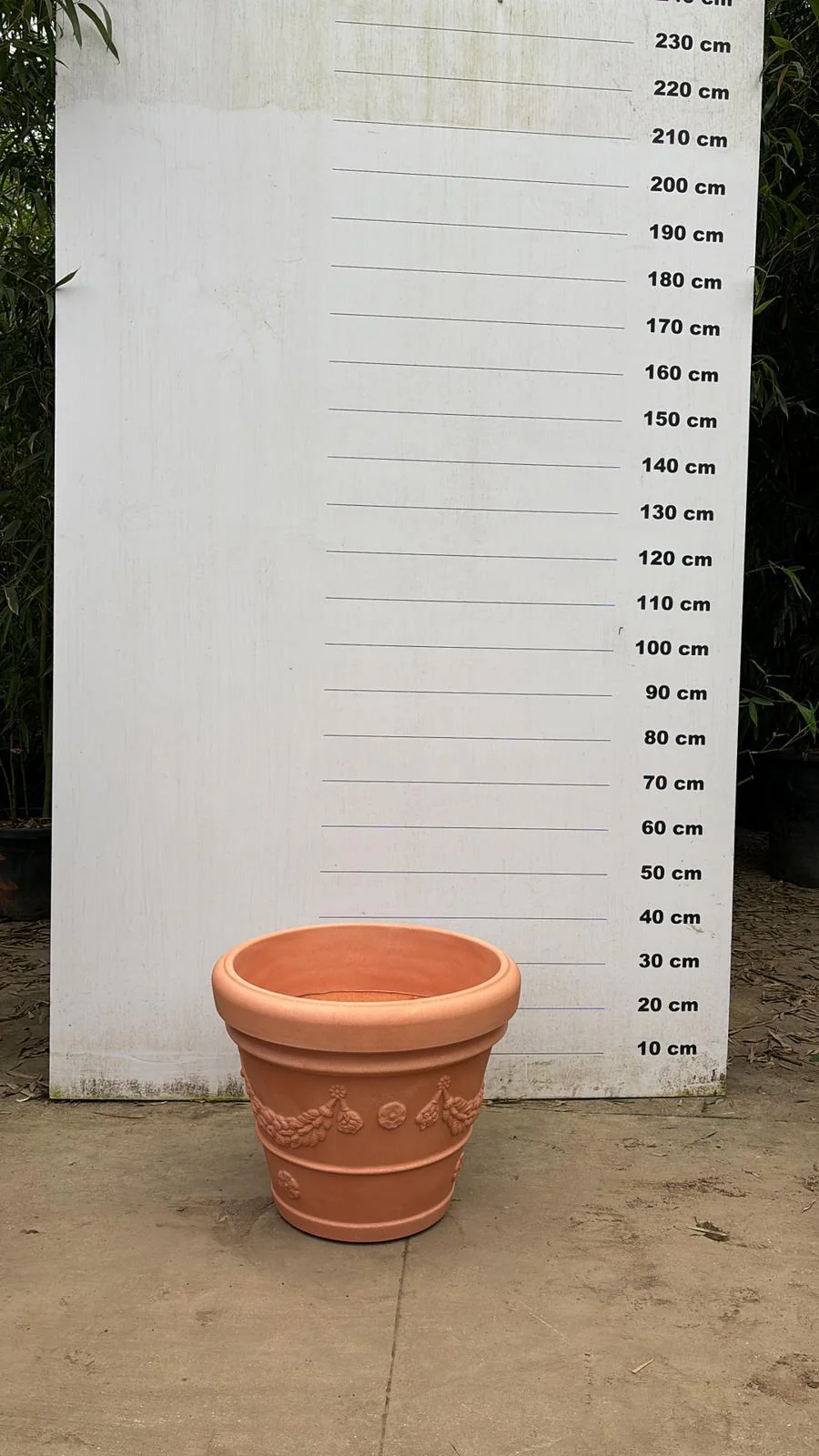 Pot Genova - Image 9