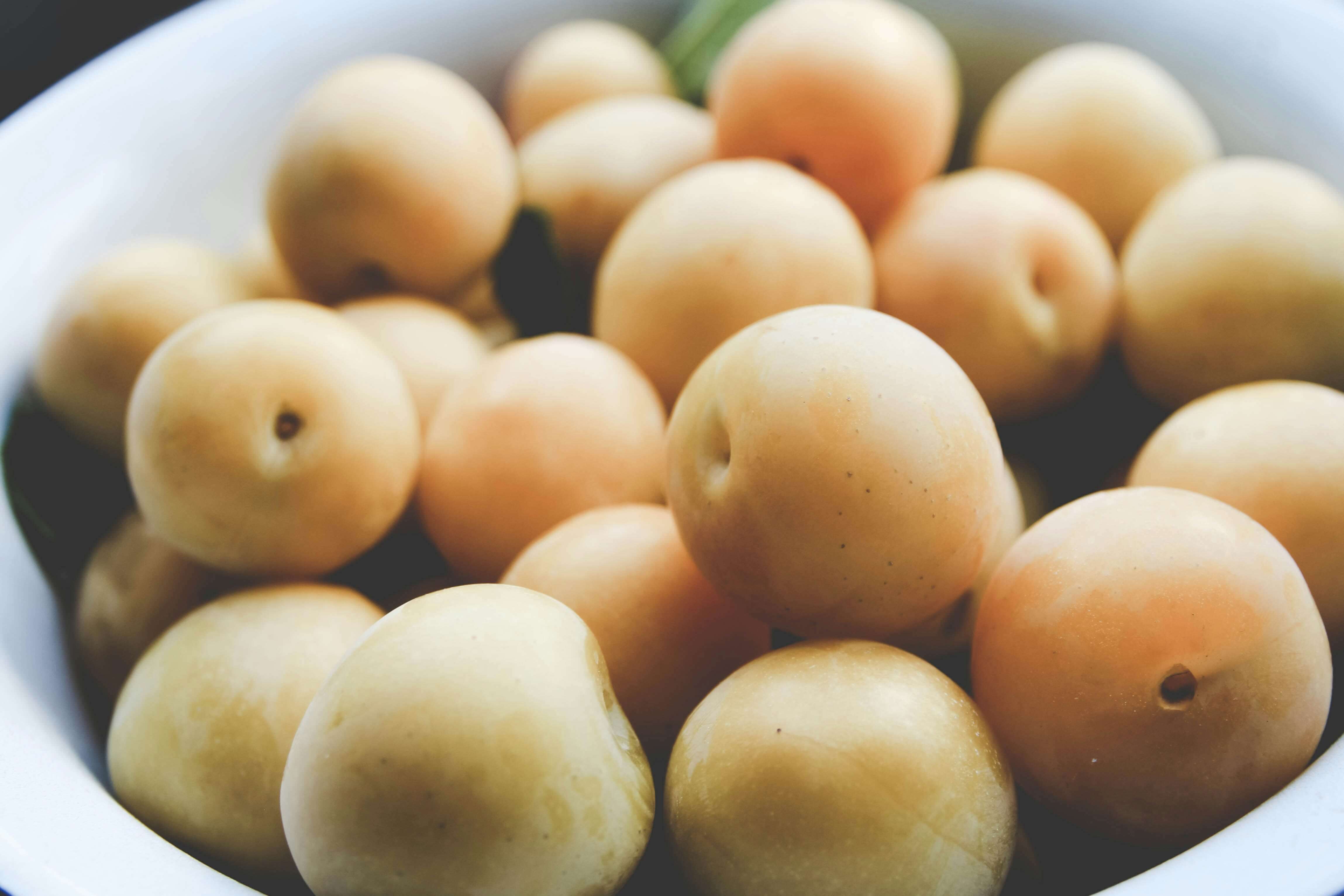 Prunier Reine Claude Dorée (Prunus Domestica Reine Claude) - Image 5