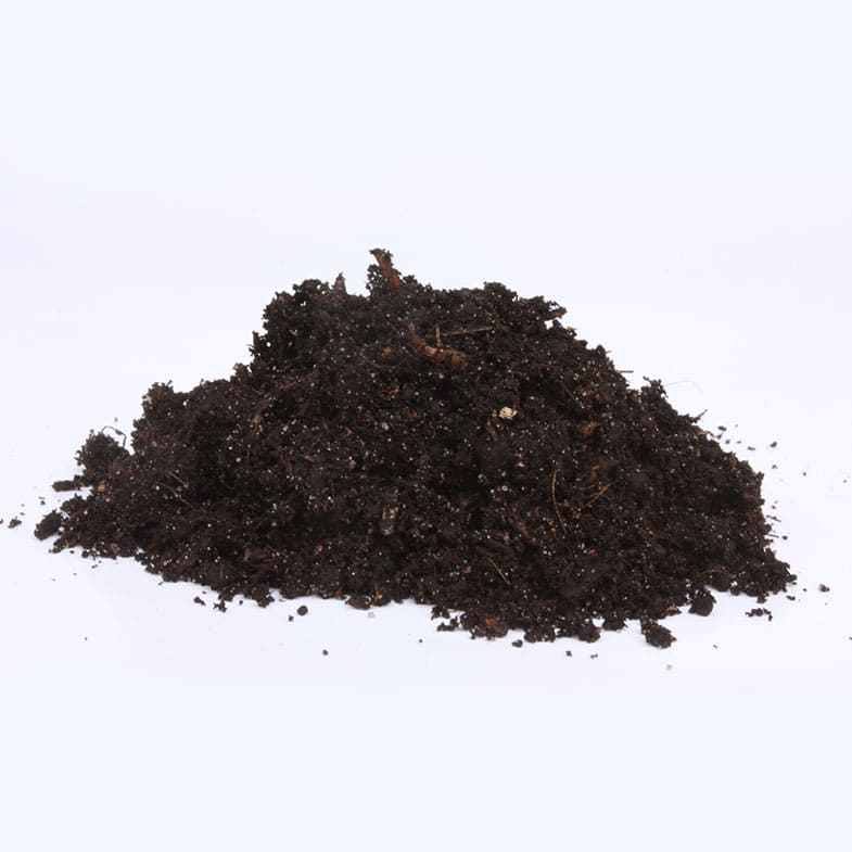 Terreau pour érable du Japon - Image 8